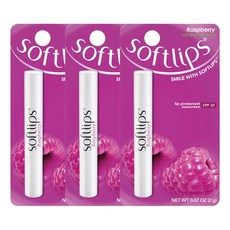 멘소래담 립 립밤 립케어 입술 보호제 소프트립스 라즈베리 2.0g / 바닐라 2.0g / 워터멜론 2.0g, 2g, 3개
