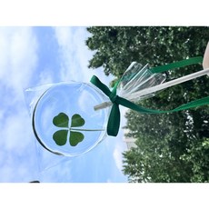 진짜 네잎클로버 롤리팝 네잎클로버캔디 네잎클로버롤리팝 무설탕캔디 Lucky Lolly 럭키롤리, 1개, 24g