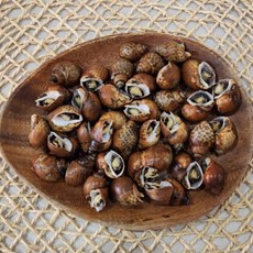 자숙 범고동 500g