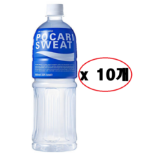 사랑주는쇼핑몰 동아오츠카 포카리스웨트 900ml, 10개