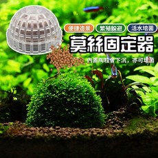 莫斯固定器 水草固定器 莫斯球 沉水球 水草球 魚缸造景球 培菌球 莫絲定植球 水草定植球 免綁莫絲球, 1個