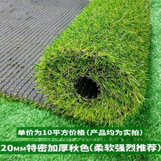 롤잔디 폭2m 25m 조경용 옥상 인조잔디 야외 팬션 매트, J. 20MM 가을색 두꺼운 바닥