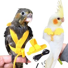 앵무새 반려새 하네스 발목링 산책 리드줄, 1-앵무새하네스-XS, 1개