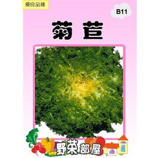日本菊苣種子 B11 25公克, 1包