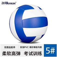 5號標準防爆排球 - 室內/室外通用, 1個, 優惠200個藍白,單球（未充氣）