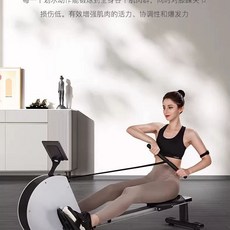자석식 로잉머신 헬스기구 크로스핏 접이식 1. 좌식, 1, D. 화이트 자기 제어 무소음 블루투스 앱 저항 조절
