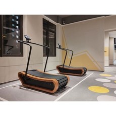 리온 무동력러닝머신 가정용 접이식 실내 무중력 유산소 운동기구, 우드 무동력 러닝머신, 기본 모델명/품번