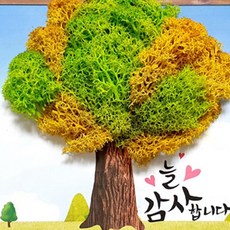 스칸디아 나무액자걸이 이끼액자, 1개