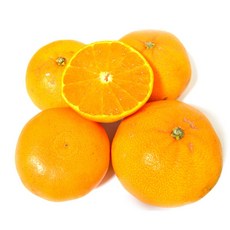 한마음 제주 천혜향 3kg(1015과), 1개, 3kg