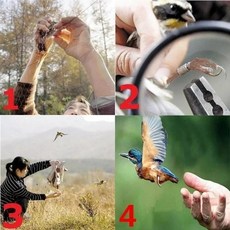 조류 방지 미스트 그물 농업 과수원 보호 손상 공급 15M 메쉬, 1개
