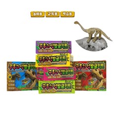 공룡화석 발굴키트 과학탐구 공룡뼈 피규어캐기 t71080 아이템파크, 단품