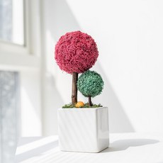 SCANDIAMOSS 親子苔蘚樹花盆, 05_仙客來, 1個