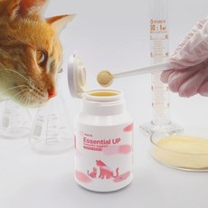 백세가족 고양이 종합 면역 영양제 엘라이신 타우린 초유 락토페린 오메가3 코큐텐 베타글루칸 비타민 허피스, Essential Up, 4박스