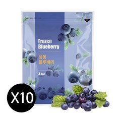 맥그로우앤마리 칠레산 냉동 블루베리, 10kg, 1개