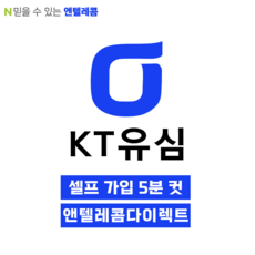 앤텔레콤 알뜰폰 선불폰(SK.KT.LG) 한국 선불유심 USIM kt선불요금제, 1개, 30일, 무제한