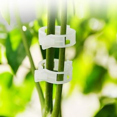 고정 RD-10189 지주대 원예 타이 식물 줄기 50P 클립