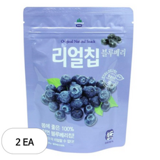 산마을 리얼칩 블루베리, 20g, 2개