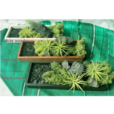 집들이선물 이오난사 우드트레이세트 스칸디아모스와 활성탄의 공기정화 제품(블랙)