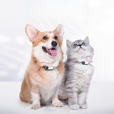 고양이카메라 펫캠 강아지 산책캠 목걸이 펫바디캠, 화이트 다이렉트 레코딩 128G