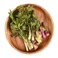 땅두릅, 500g, 1개