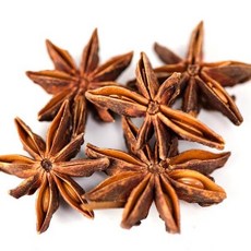 고슴도치 햄스터 천연방향제 팔각회향(스타아니스) 20g, 1개