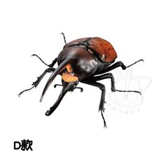 M.M小舖 BANDAI 轉蛋 扭蛋 生物大圖鑑進擊 大象兜蟲與赫克力士長戟大兜 昆蟲 模型 全4款, 1個, D款/黃金長戟大兜蟲1B162