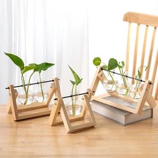 臺南出貨 創意木架水培花瓶 綠蘿玻璃容器辦公室內桌面綠植現代擺件裝飾, 復古色-3瓶,不含植物
