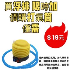 現貨 仙人掌造型泳圈 加厚PVC成人游泳圈 大型超大充氣造型浮排, 1個, 買浮排 限時加價購打氣筒 僅需19元, 圖片色