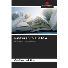 (영문도서) Essays on Public Law Paperback, Our Knowledge Publishing, English, 9786207904211