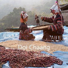 [커피생두] 태국 치앙라이 도이창 1kg/ Thailand 스페셜티 커피 생두, 1개, 1kg