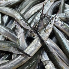 [시원농수산] 제철 학꽁치 자연산 학꽁치회(필렛) 350g 횟감용 구이용, 1개, 학꽁치회350g