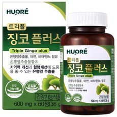 SK케미칼 SK 트리플징코 플러스 1병(2개월분) 은행잎추출물, 60정, 1개