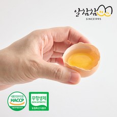 (파손보상) 알참참 HACCP 신선한 한입에 먹기좋은 무항생제 초란 생란 계란, 1개, 30구