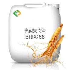 홍삼농축액 68Brix 200g 샘플, 1개