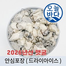 26년 100% 통영산 최상급 냉동굴 산지직송 (2KG 구매시 사은품 오만둥이 300g 증정), 1개, 냉동 굴 1kg
