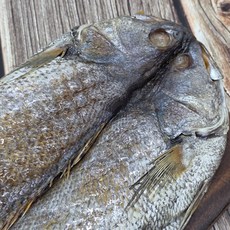 초특대 반건조 민어 1미 2미 40cm내외 말린생선 손질민어 냉동생선 (미당500g내외) 천일염간, 1세트, 초특대 반건조민어 1미