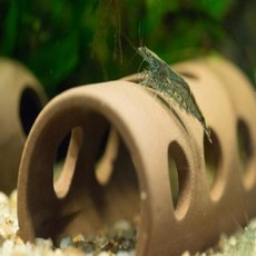 어항레이아웃 물고기 은신처 체리 생이 새우 베타 열대어 구피 놀이터 꾸미기, 3-새우놀이터-3구