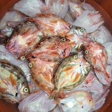 매운탕용 자연산 삼뱅이 500g 2-5마리 4인분, 1개, 삼뱅이500g