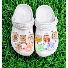 뿌뿌마켓 LED파츠 아크릴 카피바라 LED파츠10종세트 신발꾸미기파츠세트