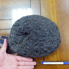 能量礦石 印尼隕石 Agni Manitite 火山玻璃 5531克 俗稱印尼天狼星 烈火石 黑隕石 古黑曜石