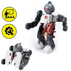 2인세트 텀블링 휴머노이드로봇 교육용 로봇과학키트 초등 방과후 diy
