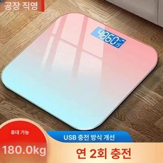 써니글로벌 체중계 체지방체중계 측정 체지방, 그라데이션 블루핑크-A