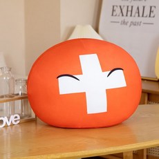 유니크한 대한민국 국기 인형 공 쿠션 귀여운 인형 선물, 스위스