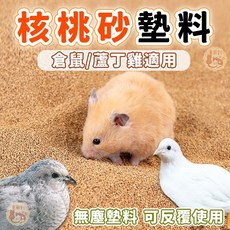 核桃砂 寵物墊料 蘆丁雞專用墊料, 1個, 核桃砂_2kg