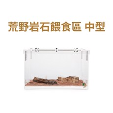 螞蟻帝國荒野紅沙餵食區長型中型掀蓋式壓克力螞蟻巢蟻窩養螞蟻, 1個