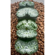 皇紫 X 鎧 翼714-26 漆彈運動軍事頭盔，輕量透氣，堅固耐用，可調節尺寸，時尚外觀, 1個, 紫