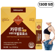 웰빙홀릭 카무트효소 분말 100% 식약청인증 130만 발효효소 골드 곡물 가루 HACCP, 1개, 90g