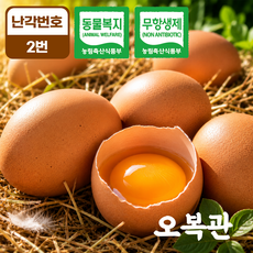 오복관 동물복지 유정란 무항생제 난각번호2번, 1개, 20구