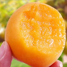 [여름제철] 새콤달콤 과즙가득 당도선별 살구, 1박스, 3kg 대과(60과 내외)