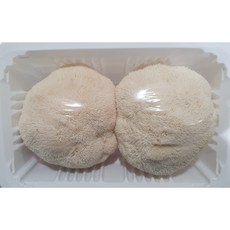 노루궁뎅이버섯 약 320g(2개X2팩), 2개